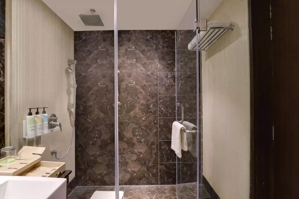Saura Hotel Agra